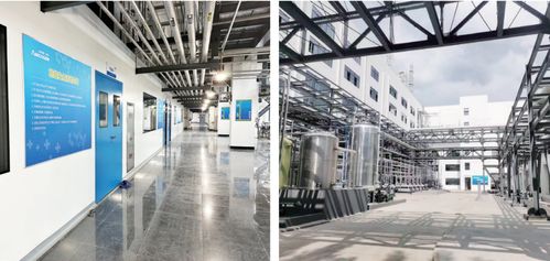 全市上半年綠色低碳高質(zhì)量發(fā)展暨招商引資重點(diǎn)項(xiàng)目現(xiàn)場觀摩綜述 三